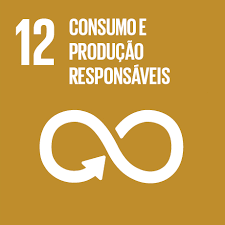Logo ODS12-